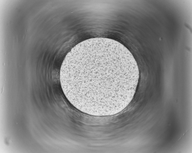 X0000101480048200808041138