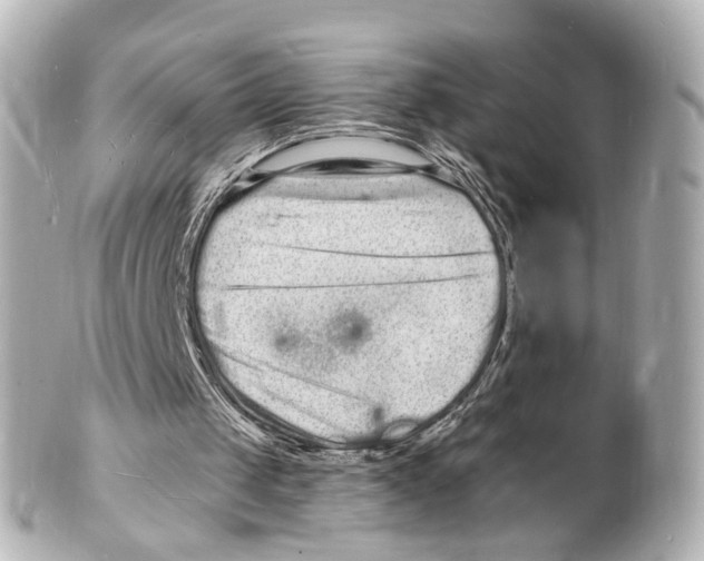 X0000101480049200808041137