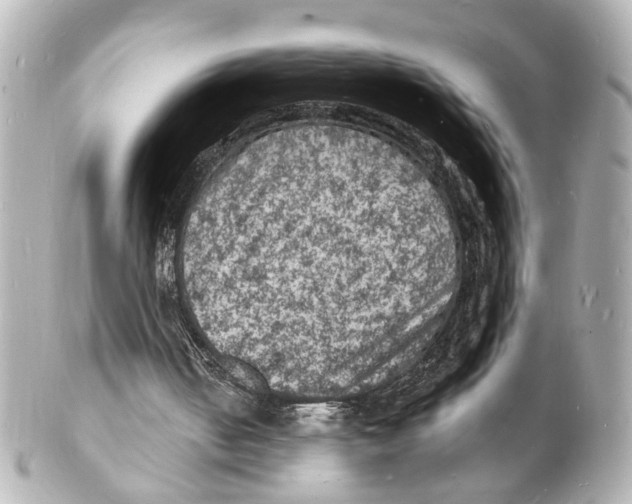 X0000101480050200808041137