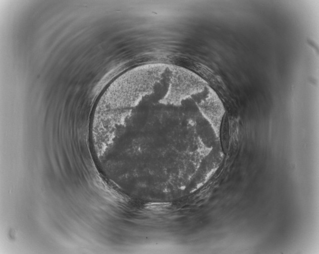 X0000101480051200808041137