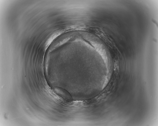 X0000101480052200808041137