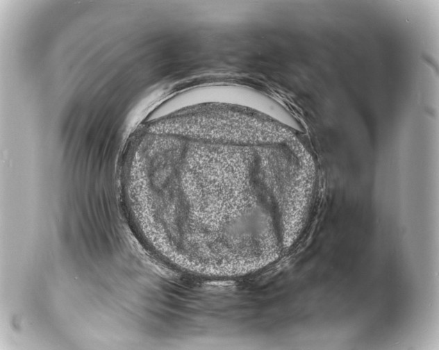 X0000101480053200808041137