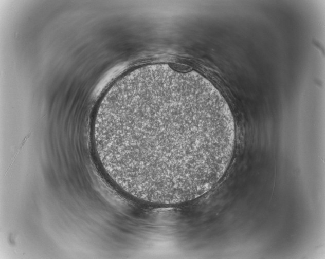 X0000101480054200808041137