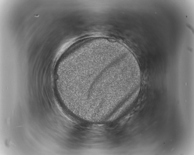 X0000101480055200808041137