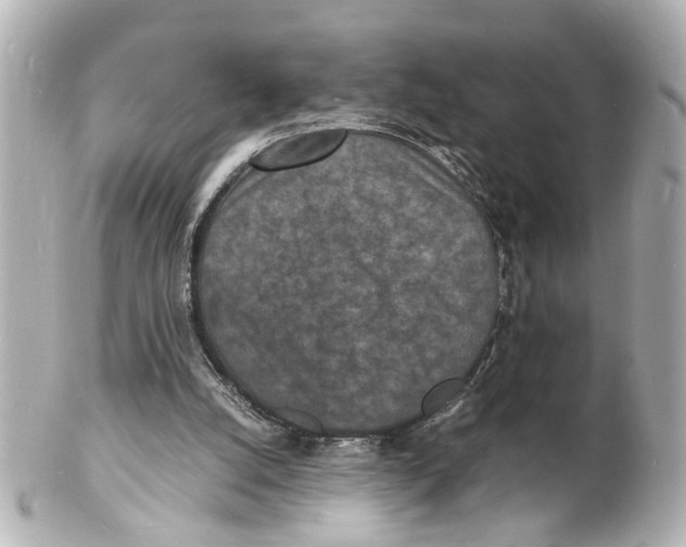 X0000101480056200808041137