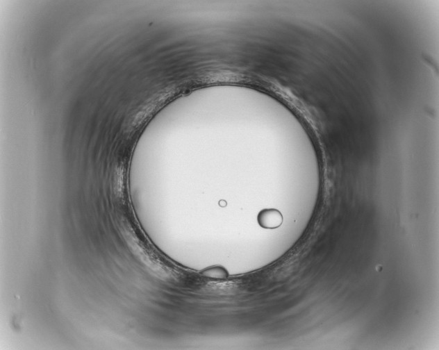 X0000101480057200808041138