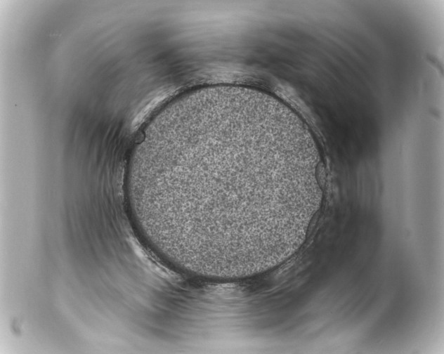 X0000101480058200808041138