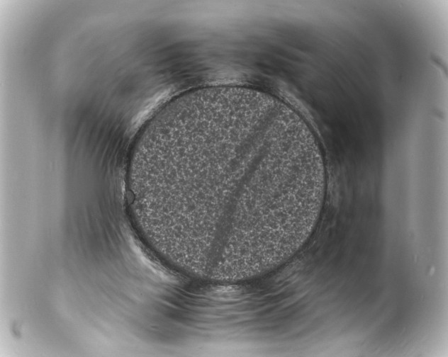 X0000101480059200808041138