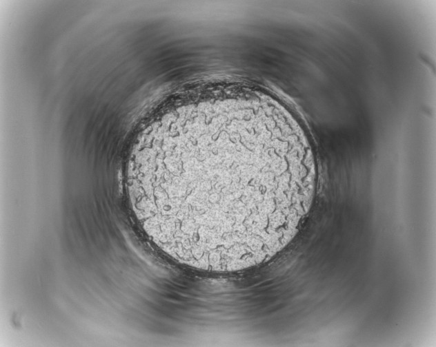 X0000101480061200808041138