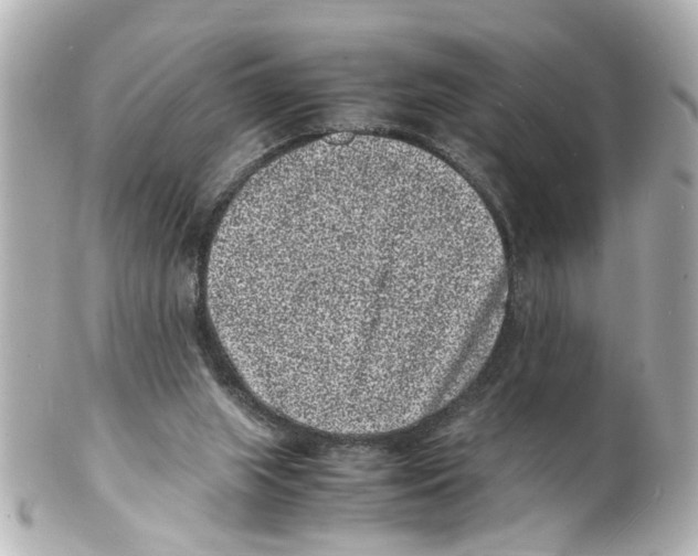 X0000101480063200808041138