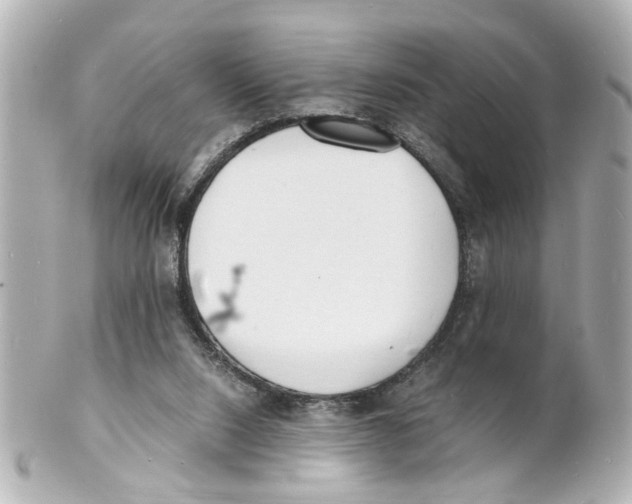 X0000101480064200808041138