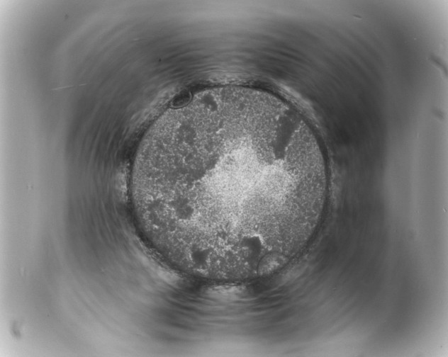 X0000101480065200808041138