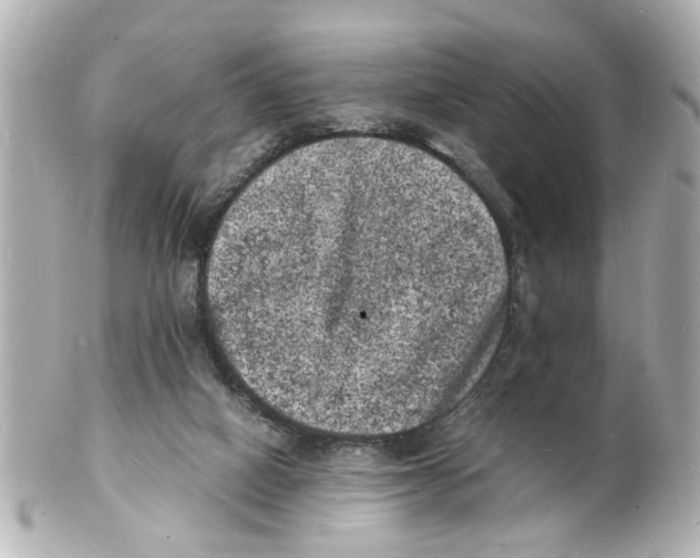 X0000101480066200808041138