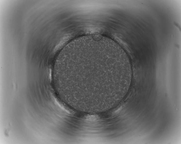 X0000101480067200808041138