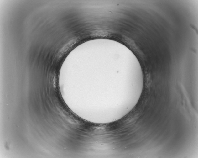 X0000101480068200808041138