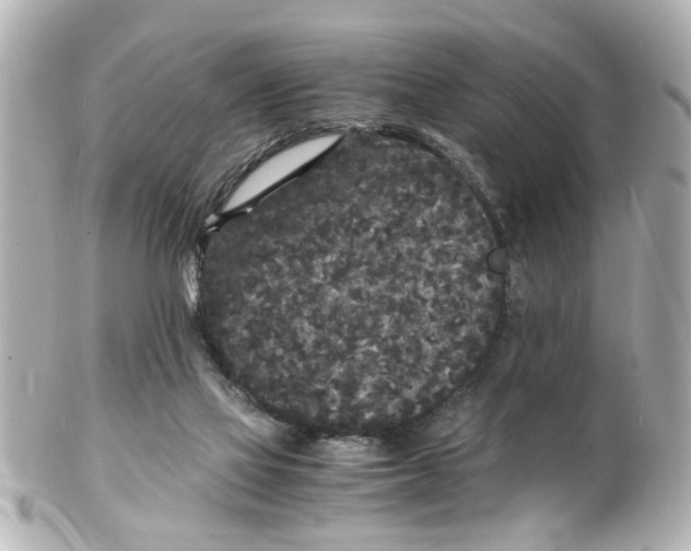 X0000101480069200808041138