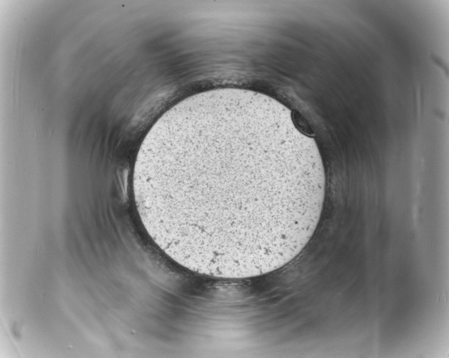 X0000101480070200808041138