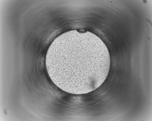 X0000101480071200808041138