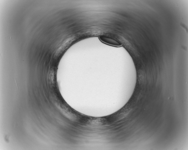 X0000101480072200808041138