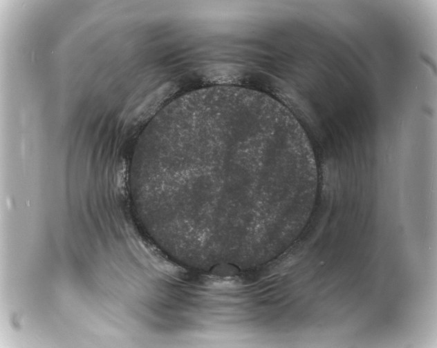 X0000101480073200808041138