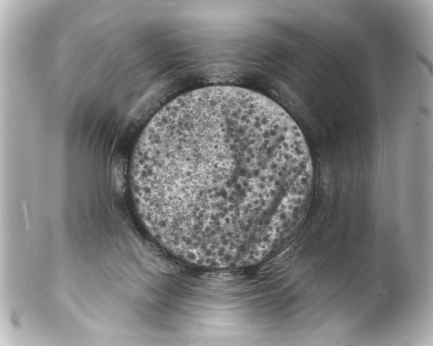 X0000101480074200808041138