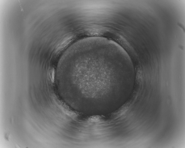 X0000101480076200808041138