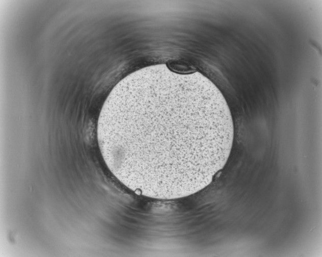 X0000101480077200808041138