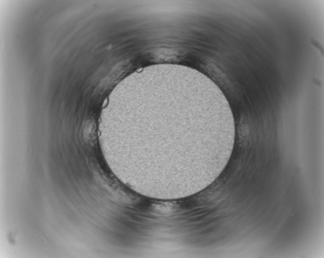 X0000101480079200808041138