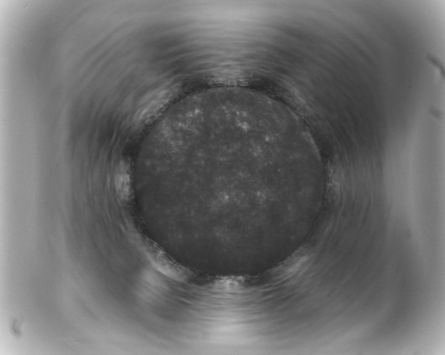 X0000101480080200808041138