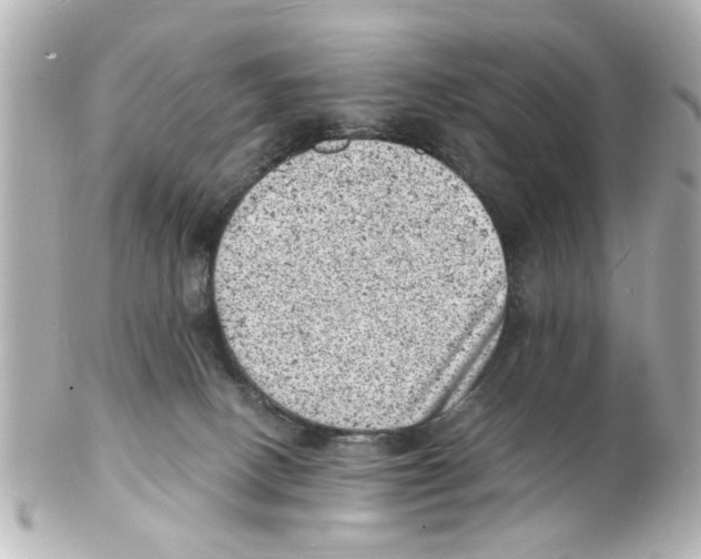 X0000101480082200808041138