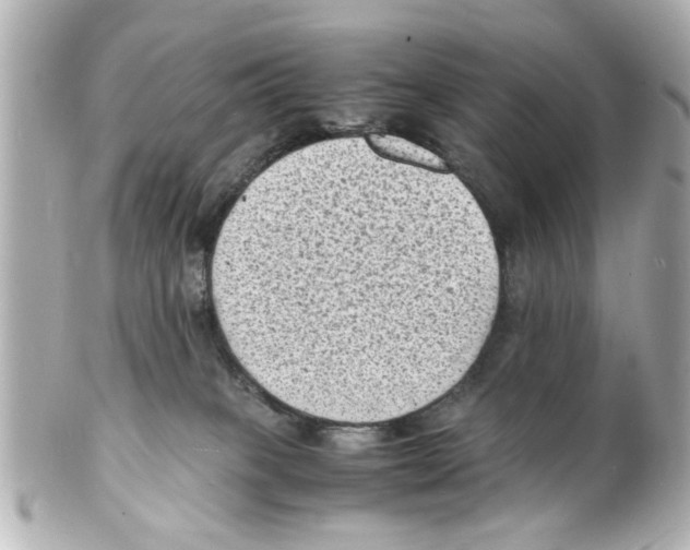 X0000101480085200808041138