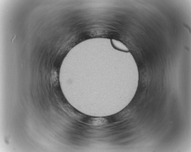 X0000101480087200808041138