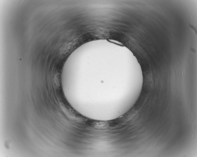 X0000101480088200808041138