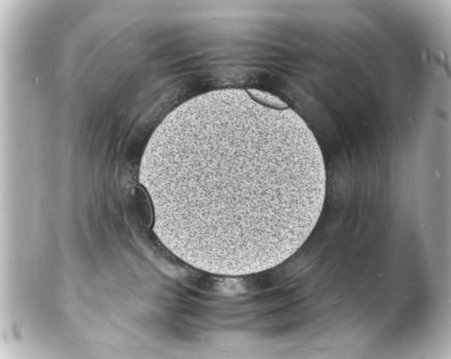 X0000101480091200808041138