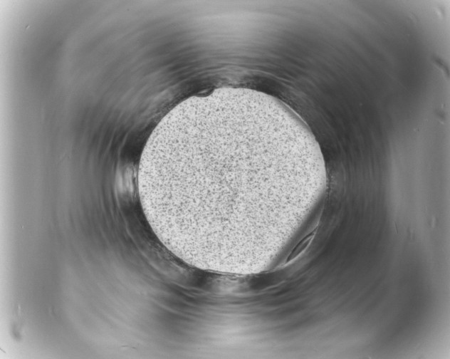 X0000101480094200808041138