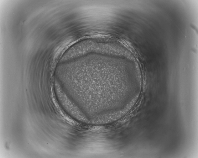 X0000101480097200808041137