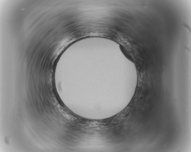 X0000101480098200808041137