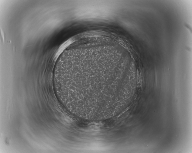 X0000101480099200808041137