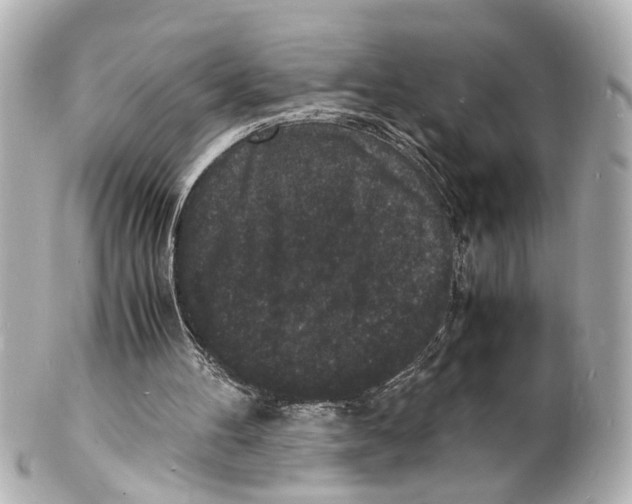 X0000101480100200808041137