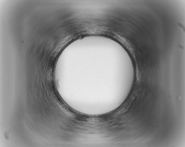 X0000101480105200808041137