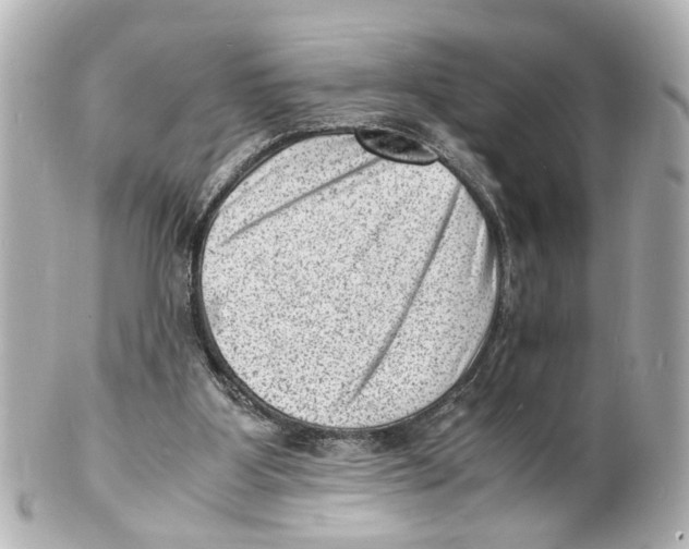 X0000101480107200808041137