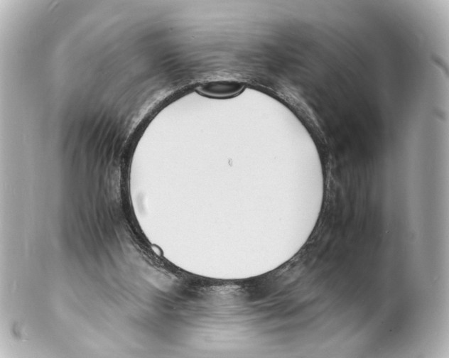 X0000101480108200808041137