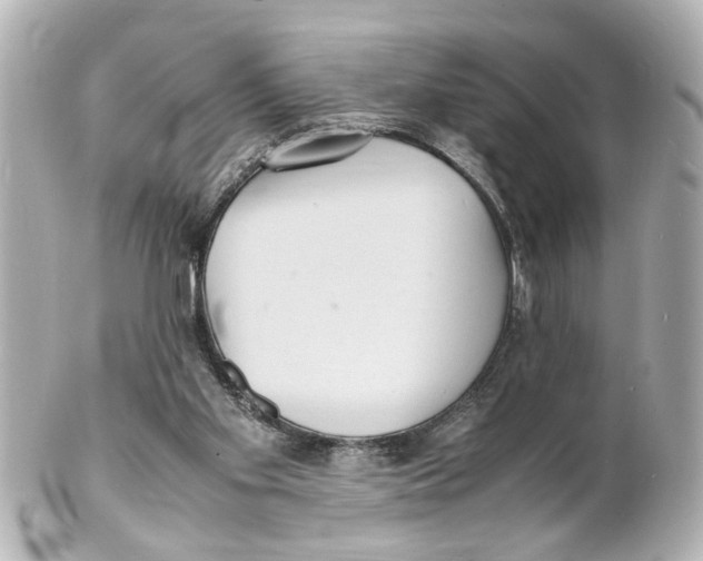 X0000101480109200808041137