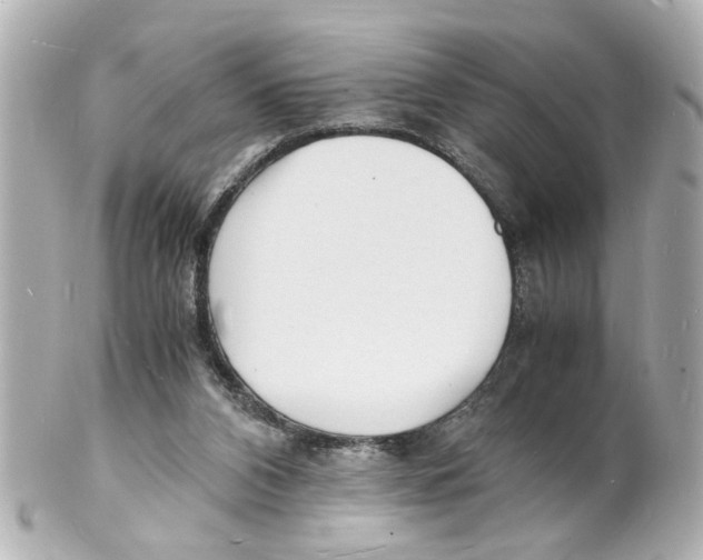 X0000101480112200808041137