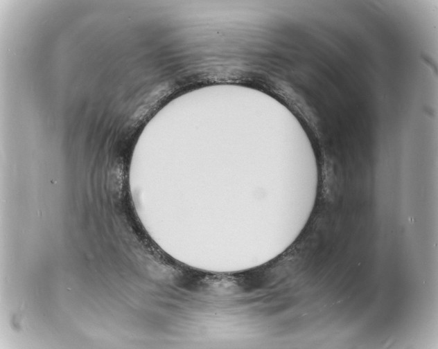 X0000101480113200808041137