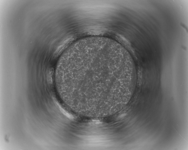 X0000101480114200808041137