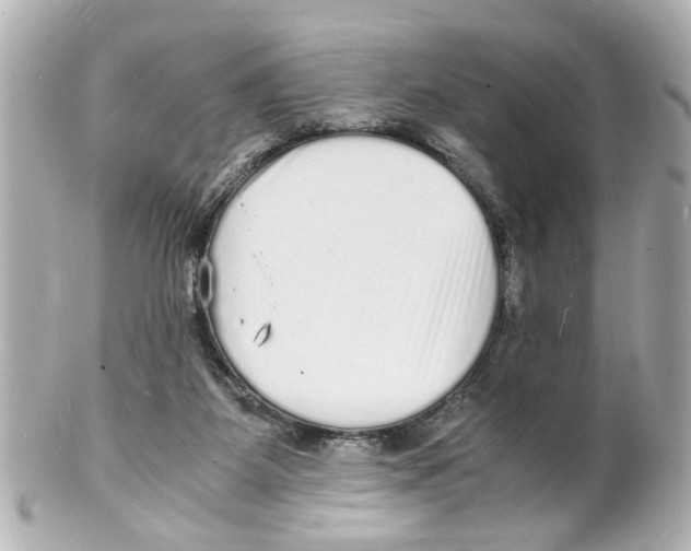 X0000101480115200808041137