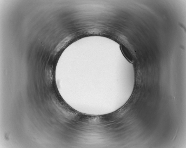 X0000101480116200808041137