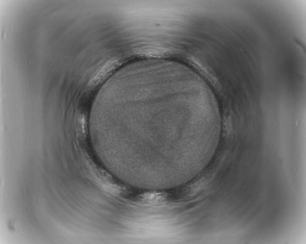 X0000101480117200808041137