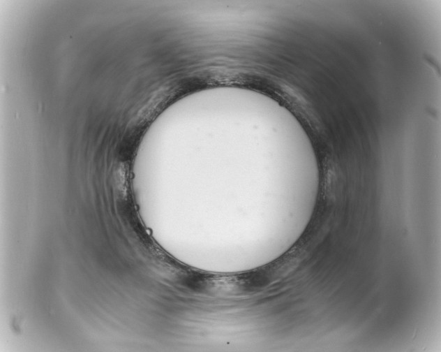 X0000101480121200808041137